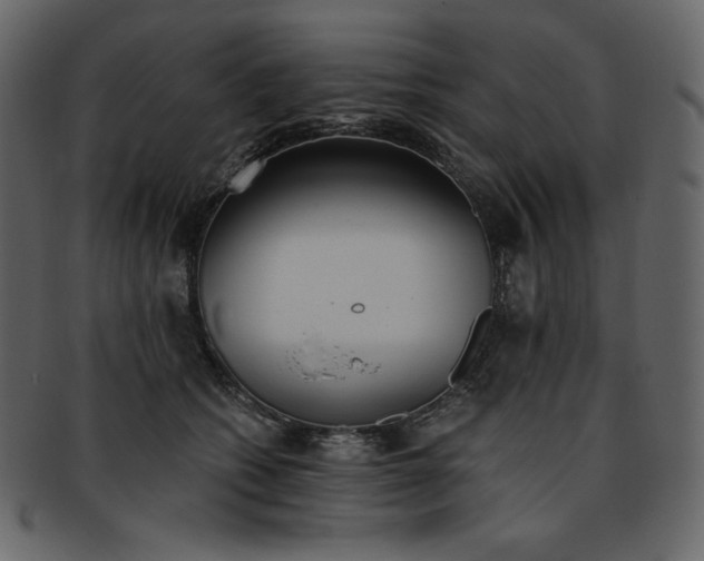 X0000093380562200710191137