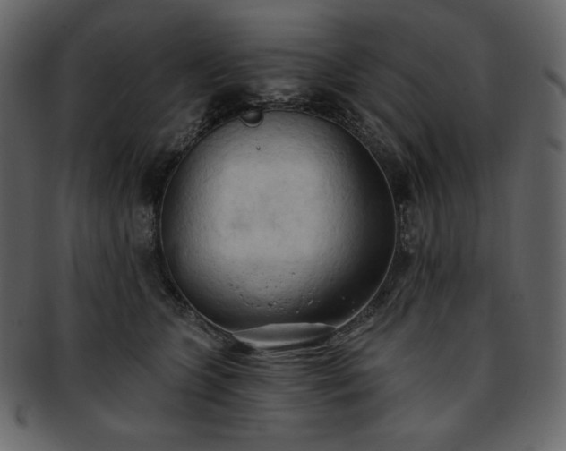 X0000093380563200710191137