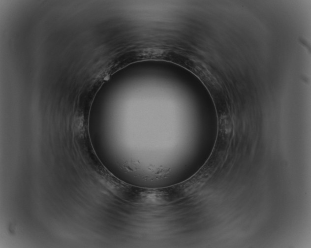 X0000093380564200710191137