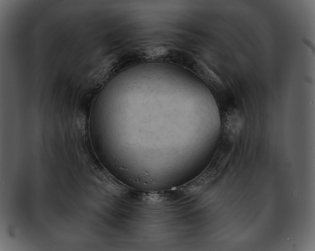 X0000093380565200710191137