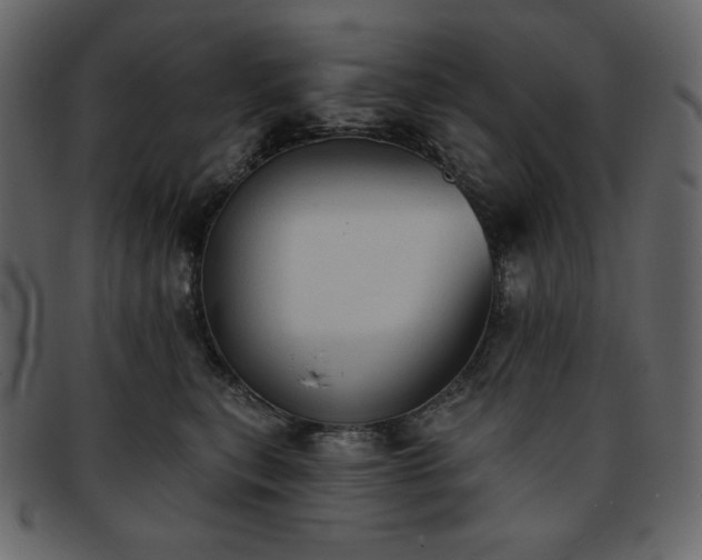 X0000093380567200710191137