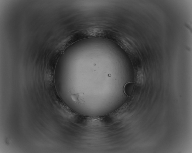 X0000093380569200710191137