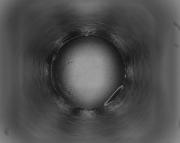 X0000093380570200710191137