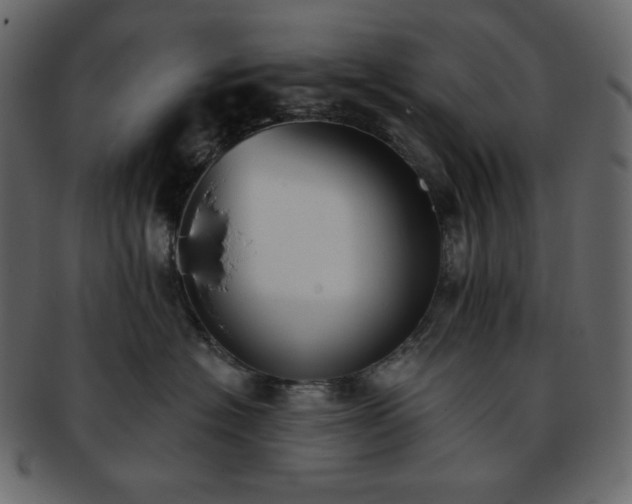 X0000093380574200710191137