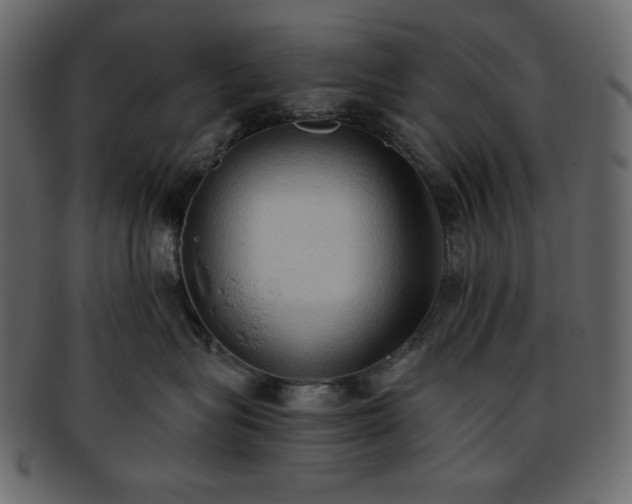 X0000093380575200710191137