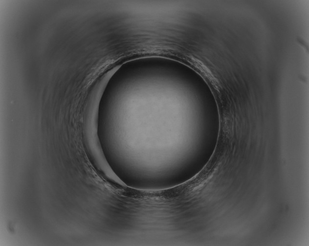 X0000093380577200710191136