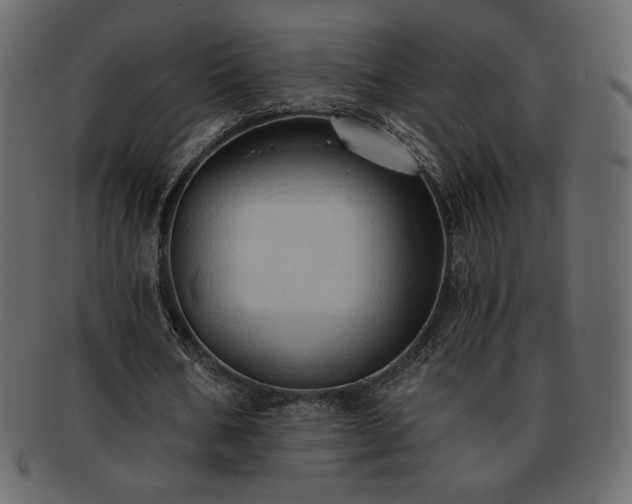 X0000093380578200710191136