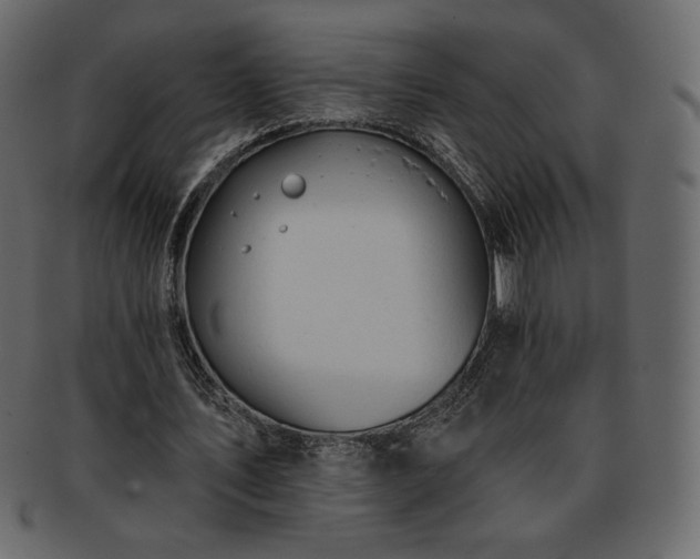 X0000093380579200710191136