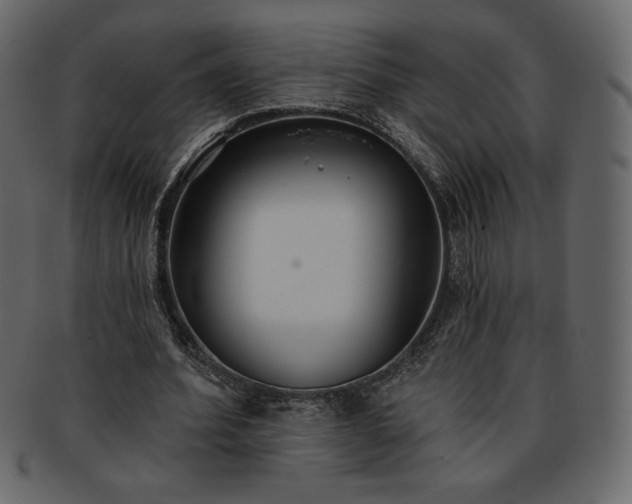 X0000093380580200710191136