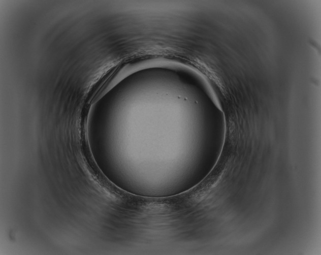 X0000093380581200710191136