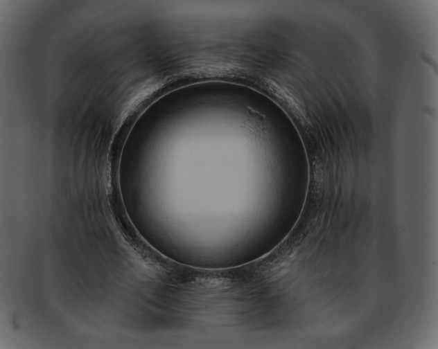 X0000093380582200710191136