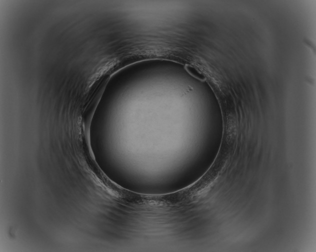 X0000093380585200710191136