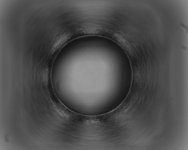 X0000093380586200710191136