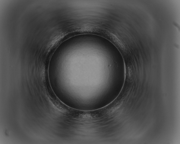 X0000093380588200710191136