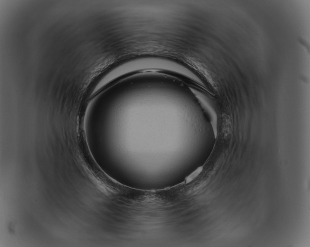 X0000093380589200710191136