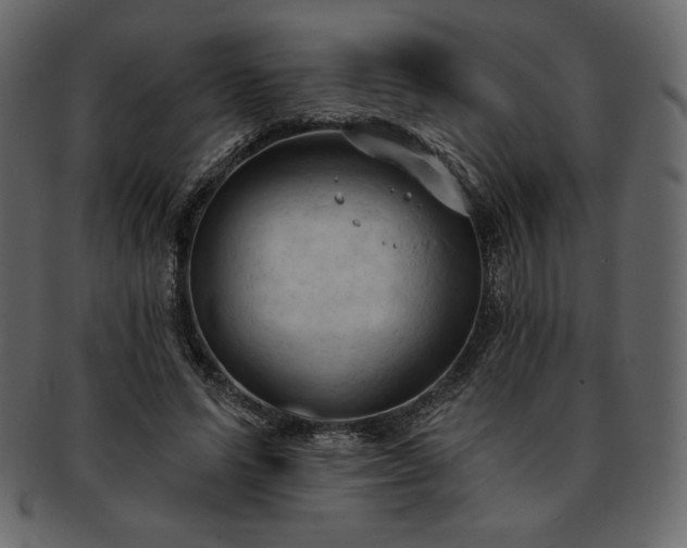 X0000093380591200710191136