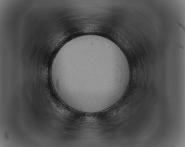 X0000093380592200710191136