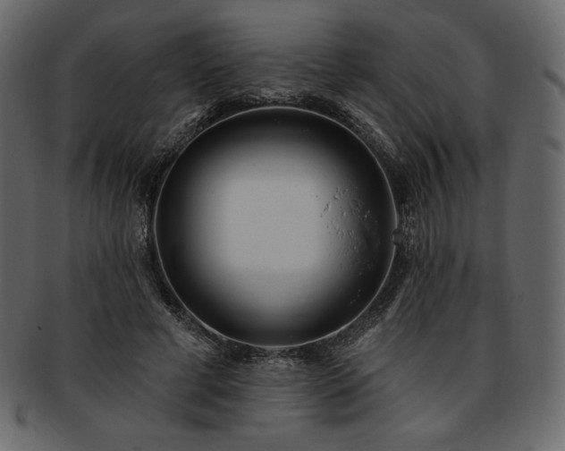 X0000093380593200710191136