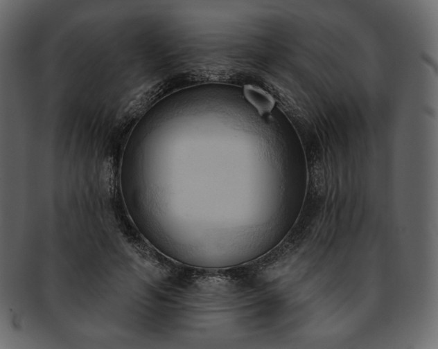 X0000093380594200710191136