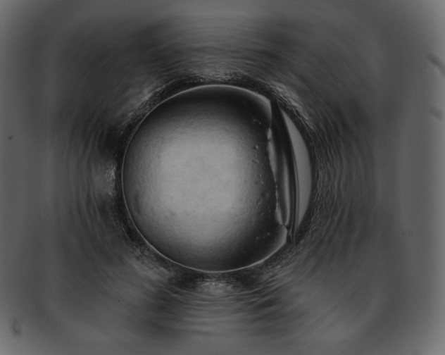 X0000093380596200710191136