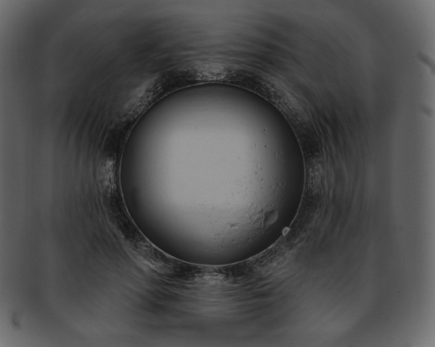 X0000093380598200710191136