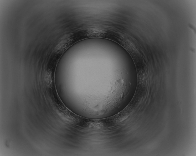 X0000093380599200710191136