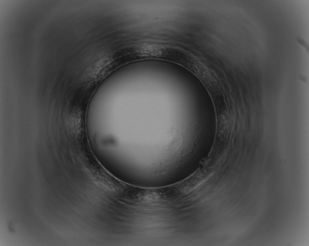 X0000093380600200710191136