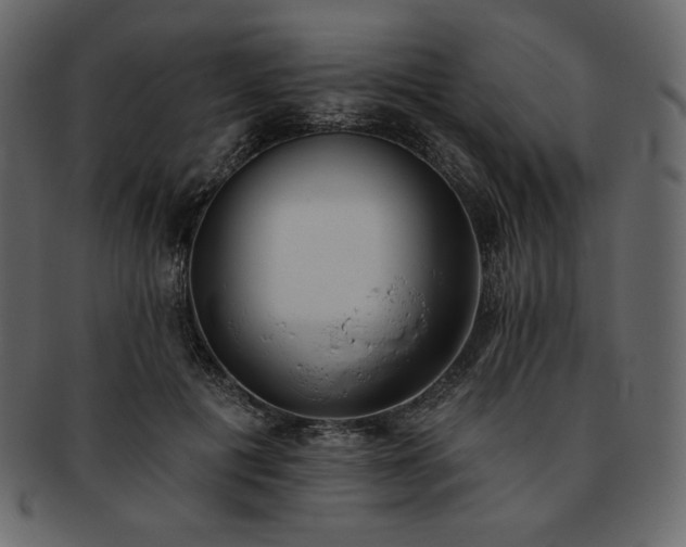 X0000093380601200710191136