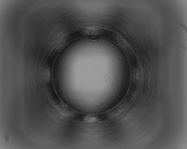 X0000093380602200710191136