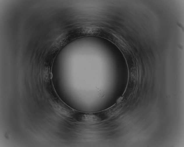 X0000093380605200710191136