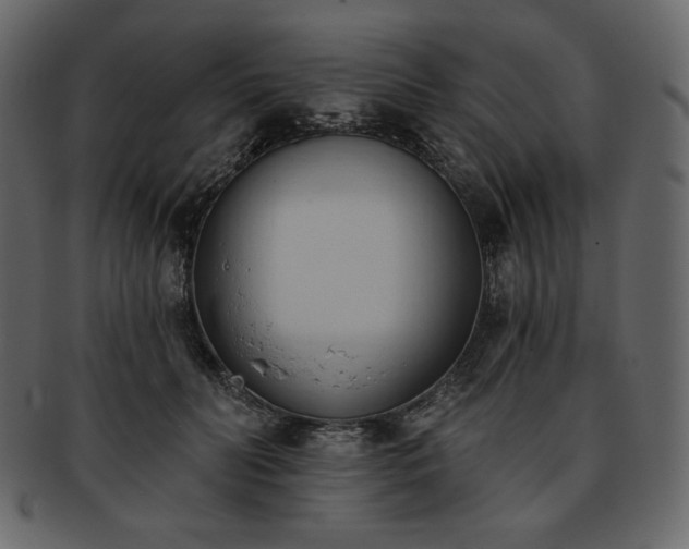 X0000093380606200710191136