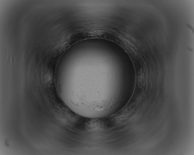 X0000093380608200710191136