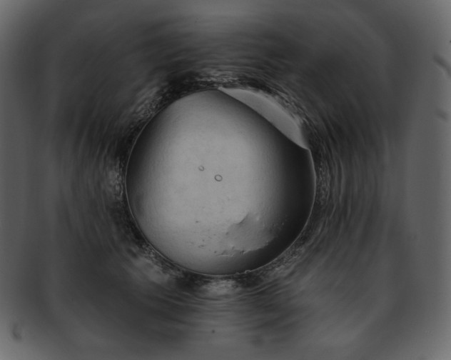 X0000093380609200710191136