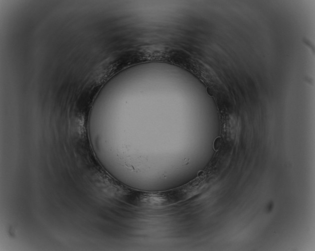 X0000093380610200710191136