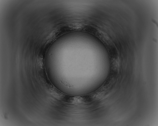 X0000093380612200710191136