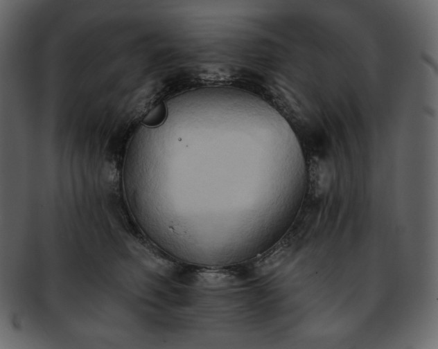 X0000093380614200710191136