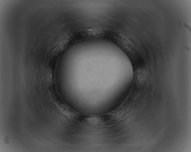 X0000093380615200710191136