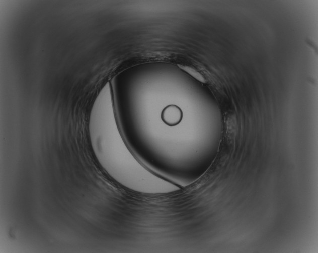 X0000093380617200710191136