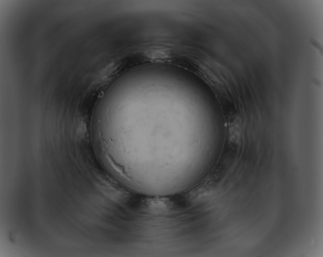 X0000093380618200710191136