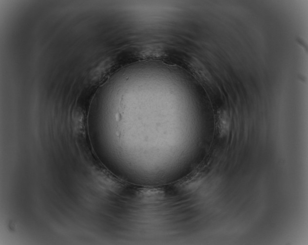 X0000093380619200710191136