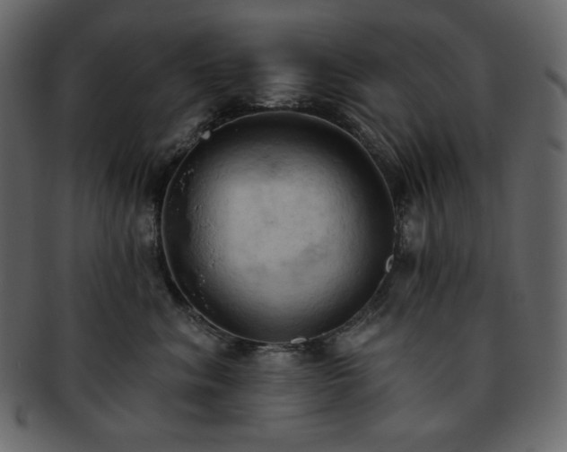 X0000093380620200710191136