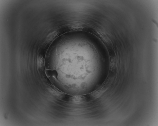 X0000093380623200710191136