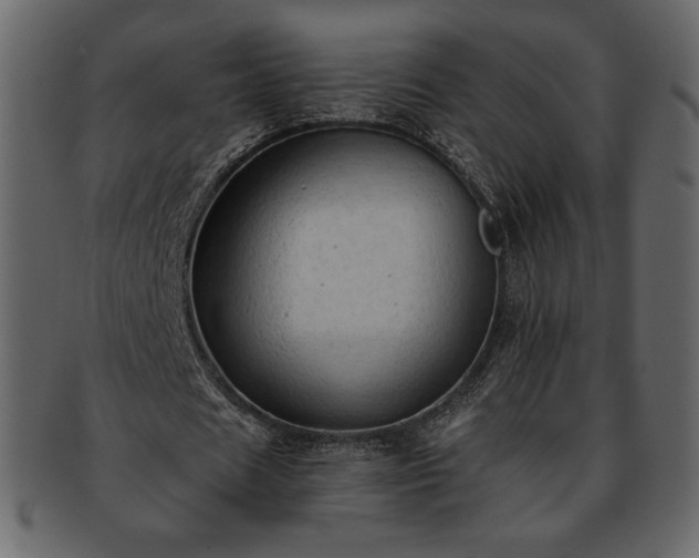 X0000093380625200710191135