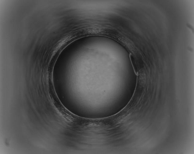 X0000093380626200710191135