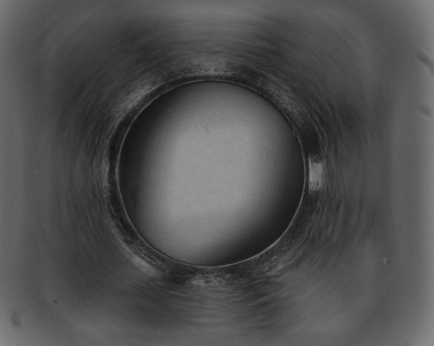 X0000093380627200710191135