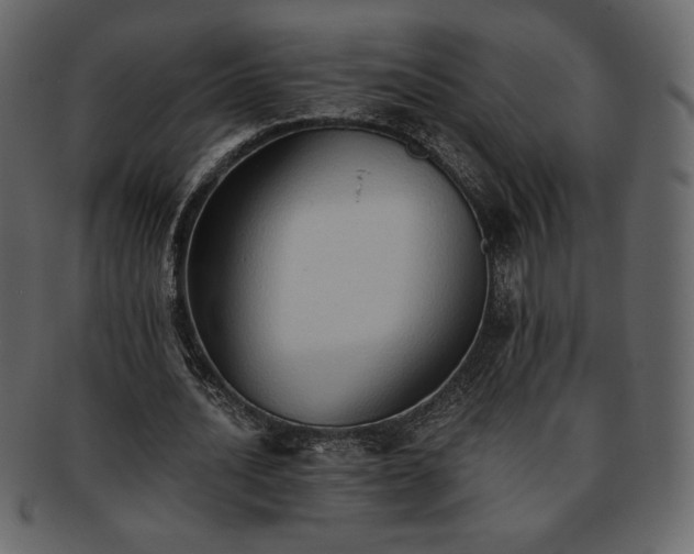 X0000093380628200710191135