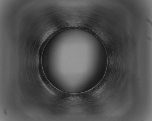 X0000093380630200710191135