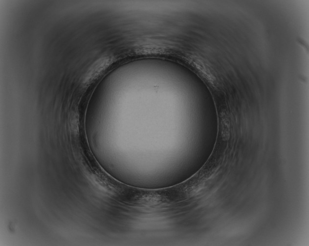 X0000093380631200710191135