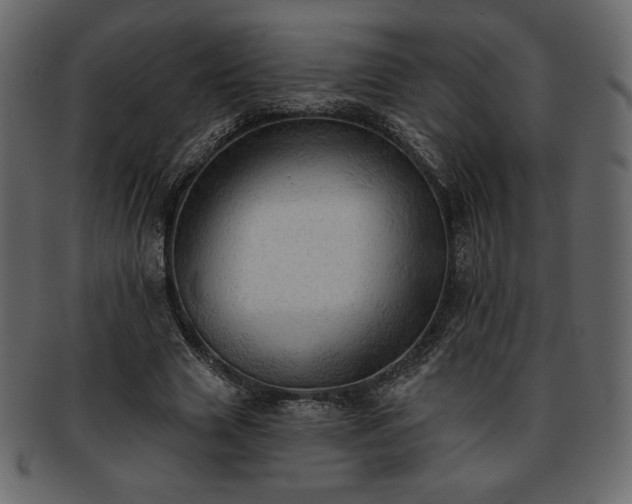 X0000093380633200710191135