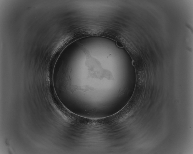 X0000093380634200710191135